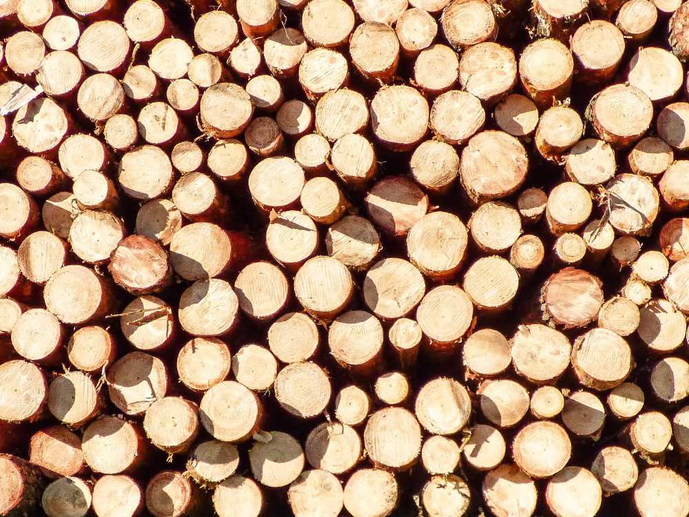 Piccoli tronchi di legno accatastati